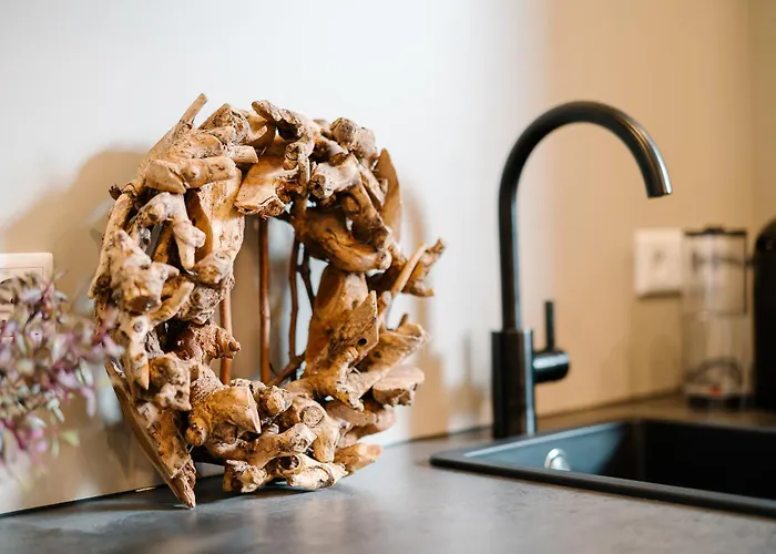 Sago Airporthouse * Dusseldorf