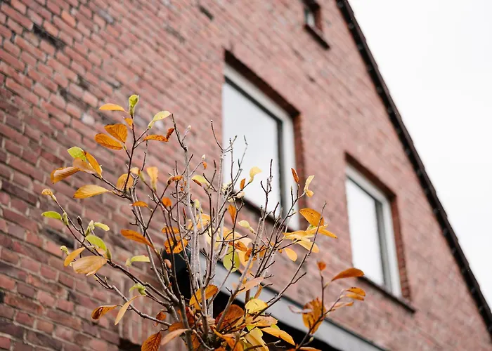 Bed & Breakfast Sago Airporthouse Dusseldorf